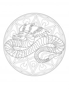 Dragon Mandala - 4