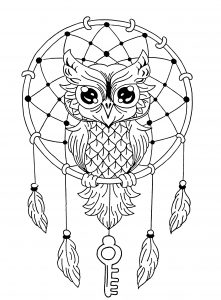 Unique Owl Dreamcatcher Mandala