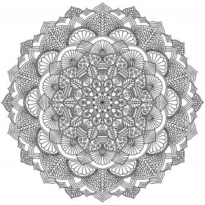Complex Mandala with vegetal and floral elements