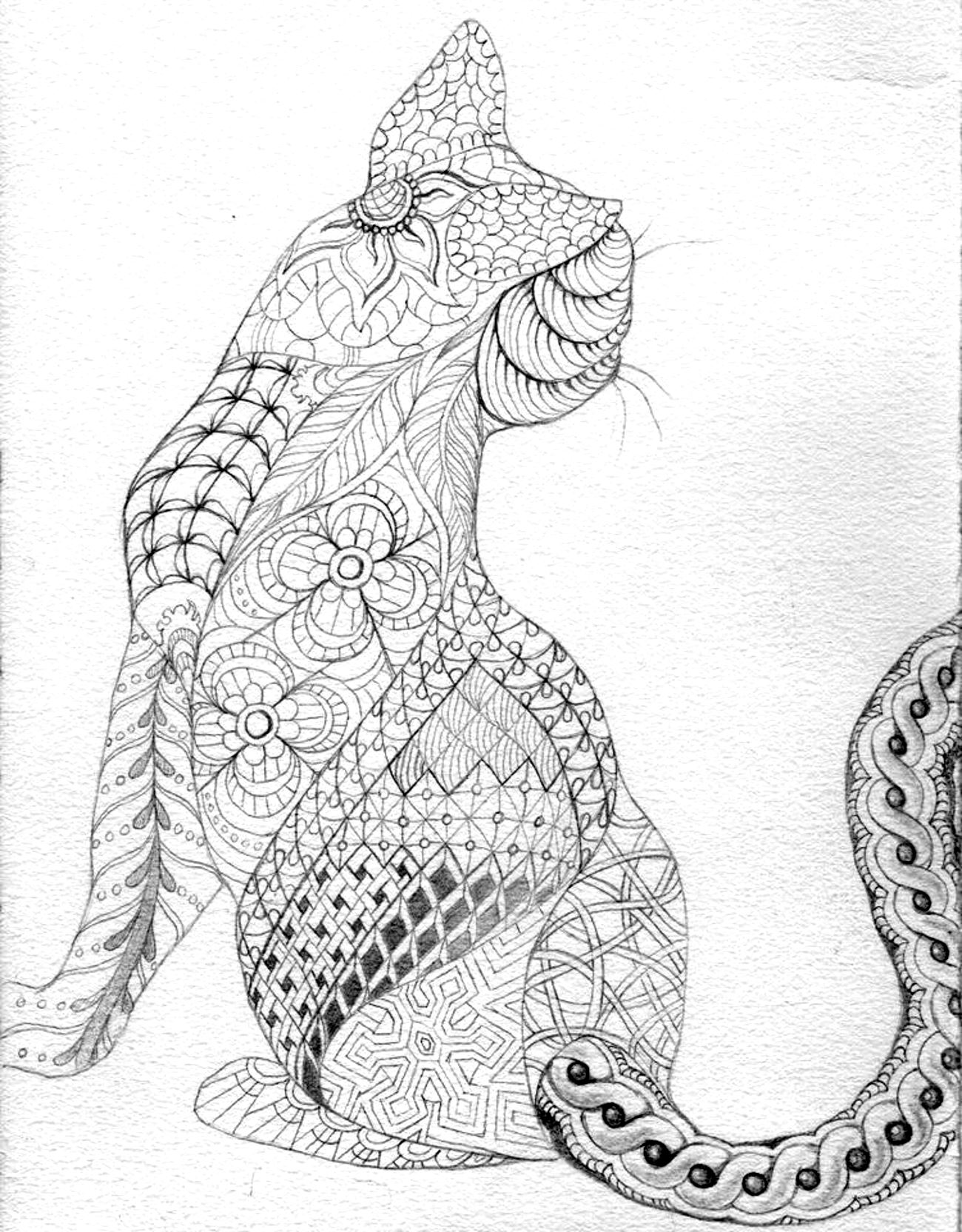 Download Cat - Animals Coloring pages - 100% Mandalas Zen & Anti-stress