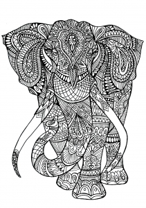 Elephant