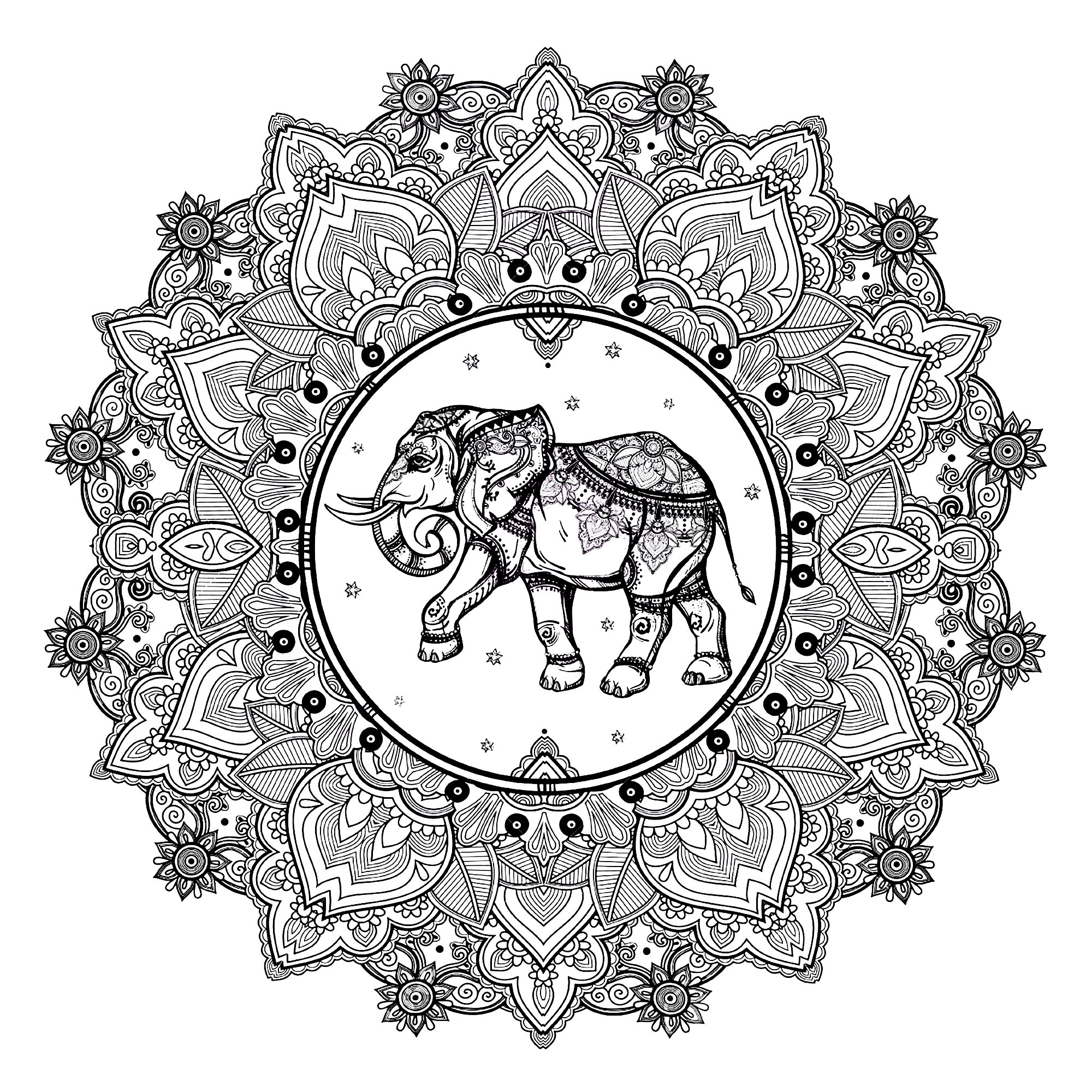 A beautiful Mandala coloring page with an elephant and Indian inspired patterns, of great quality and originality. It's up to you to choose the most appropriate colors.