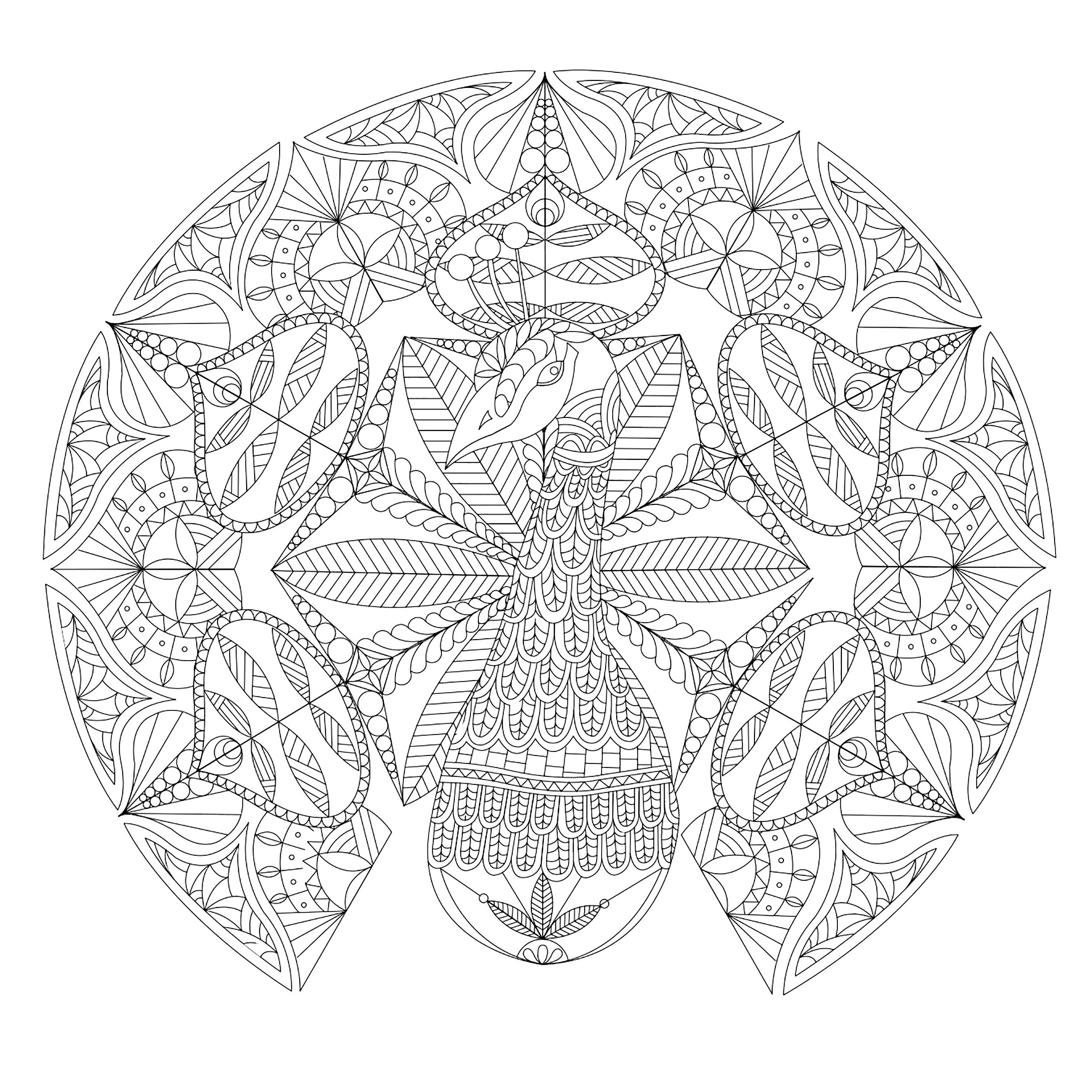 Mandala with a peacock, but also abstract and plant patterns. It's up to you to choose the most appropriate colors !, Artist : Flora Mandala with a peacock, but also abstract and plant patterns. It's up to you to choose the most appropriate colors !, Artist : Flora