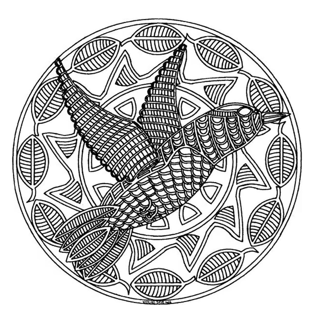 Cute Mandala drawing with a big bird in the middle. Don't hesitate to share the result with us by sending it !