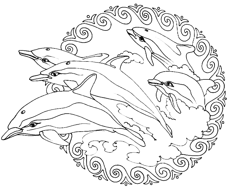 Dolphins in a Mandala coloring page to print and color ! Get your artistic sense choose the best colors to give life to this beautiful design.