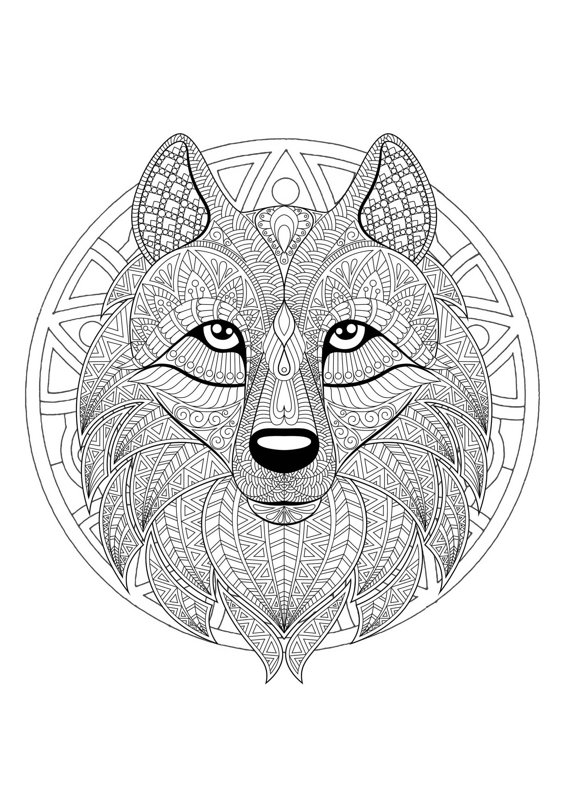 Prepare your best colors to give life to this beautiful wolf. Don't hesitate to share the result with us by sending it !