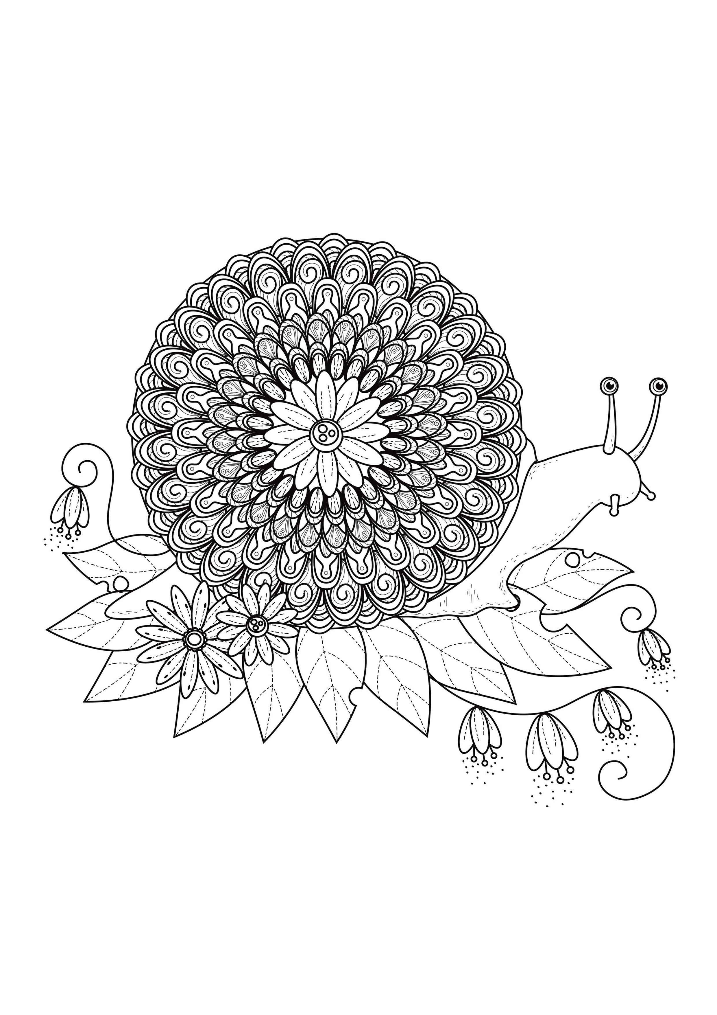 A Mandala on a snail, for those who like simplicity & nature. Did you know ? It can sometimes be even more relaxing when coloring and passively listening to music.