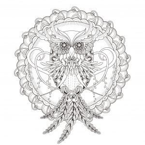 Owl in a magnificent Mandala