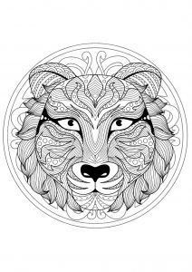 Beautiful Tiger head Mandala