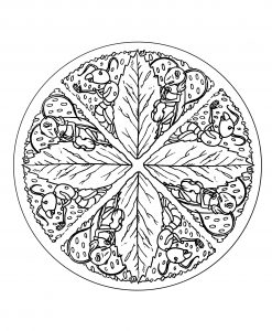 Ant & Leaves Mandala