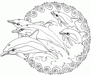 Dolphins Mandala