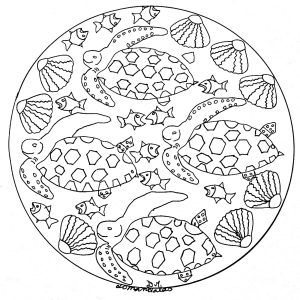 Hand drawn fish & shells Mandala