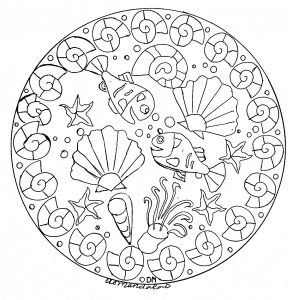 Shells & Fish Mandala