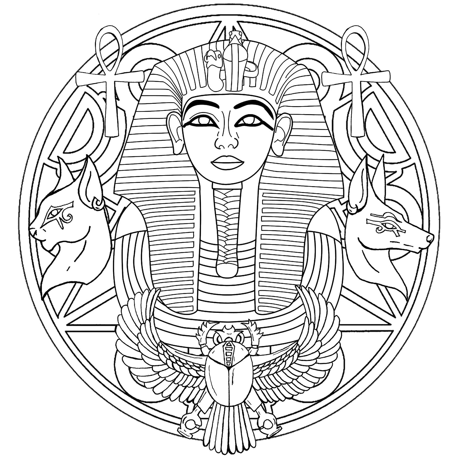 Tutankhamun was an Egyptian pharaoh of the 18th dynasty during the period of Egyptian. Discover a Mandala with his famous mask in the center, and other symbols around. Second version