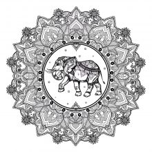 mandala complex elephant 123rf