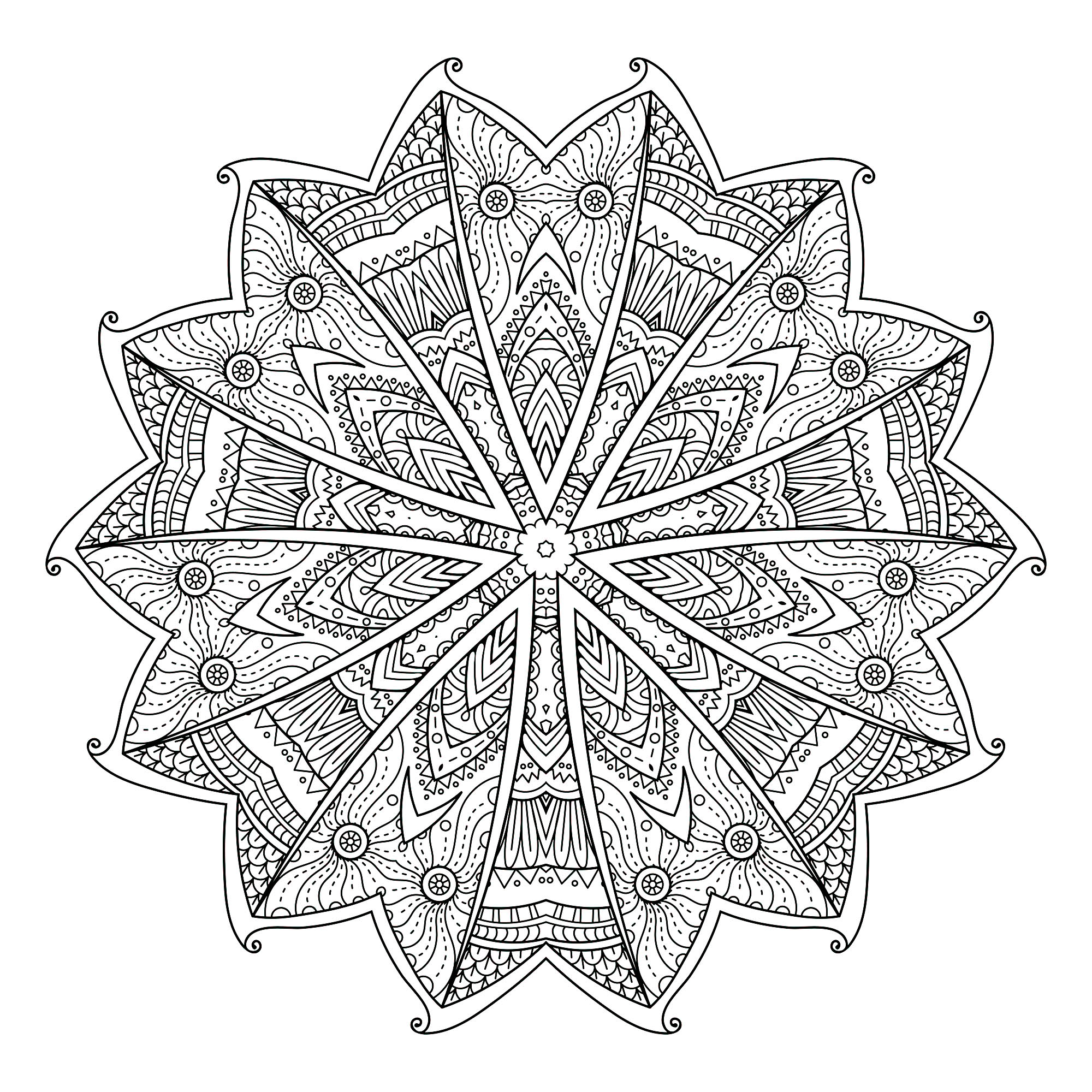 A Mandala quite difficult to color, perfect if you like to color small areas, and if you like various details. The different areas look like butterfly wings.