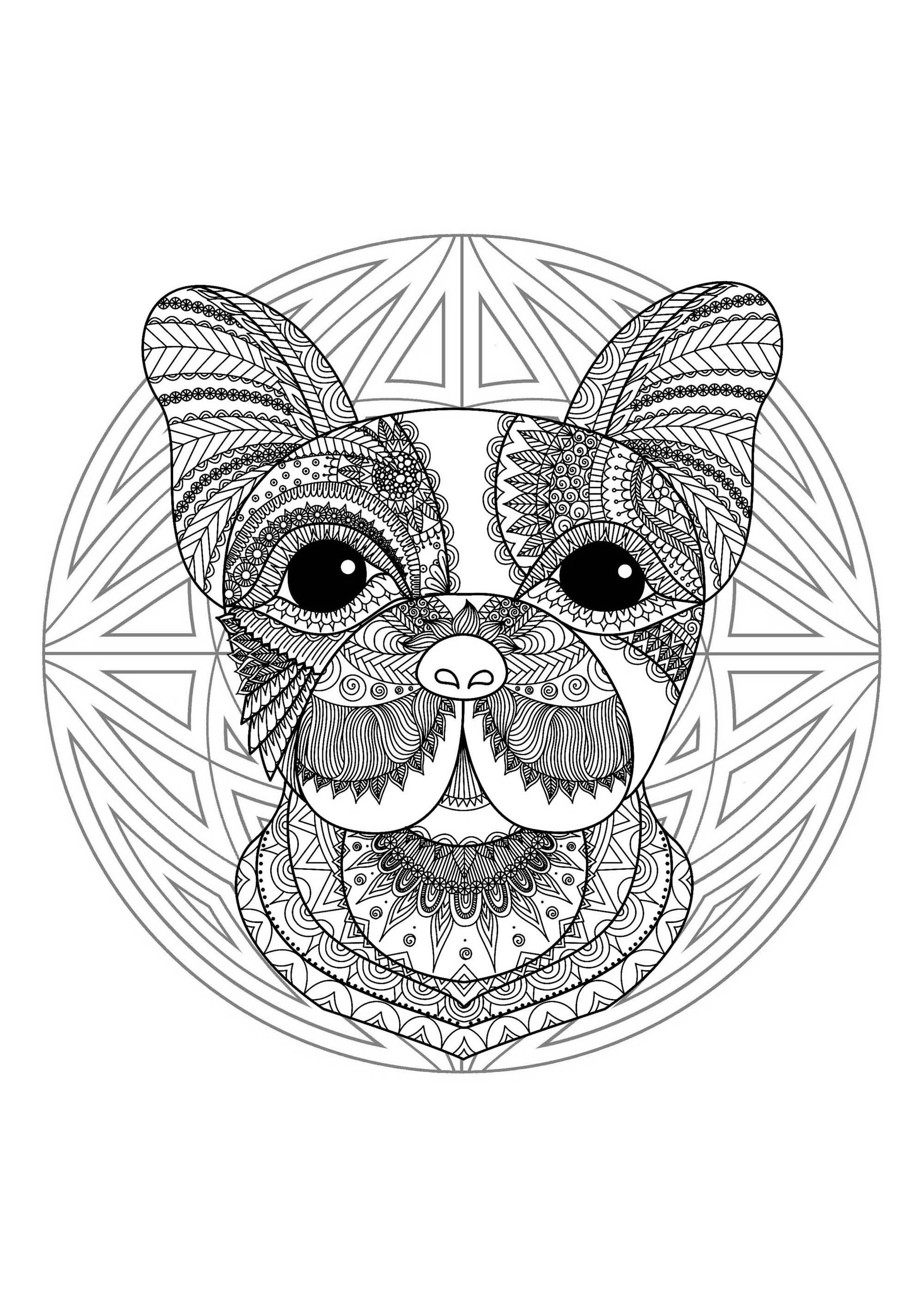 Dog head in a difficult Mandala. A Mandala quite difficult to color, perfect if you like to color small areas, and if you like various details.
