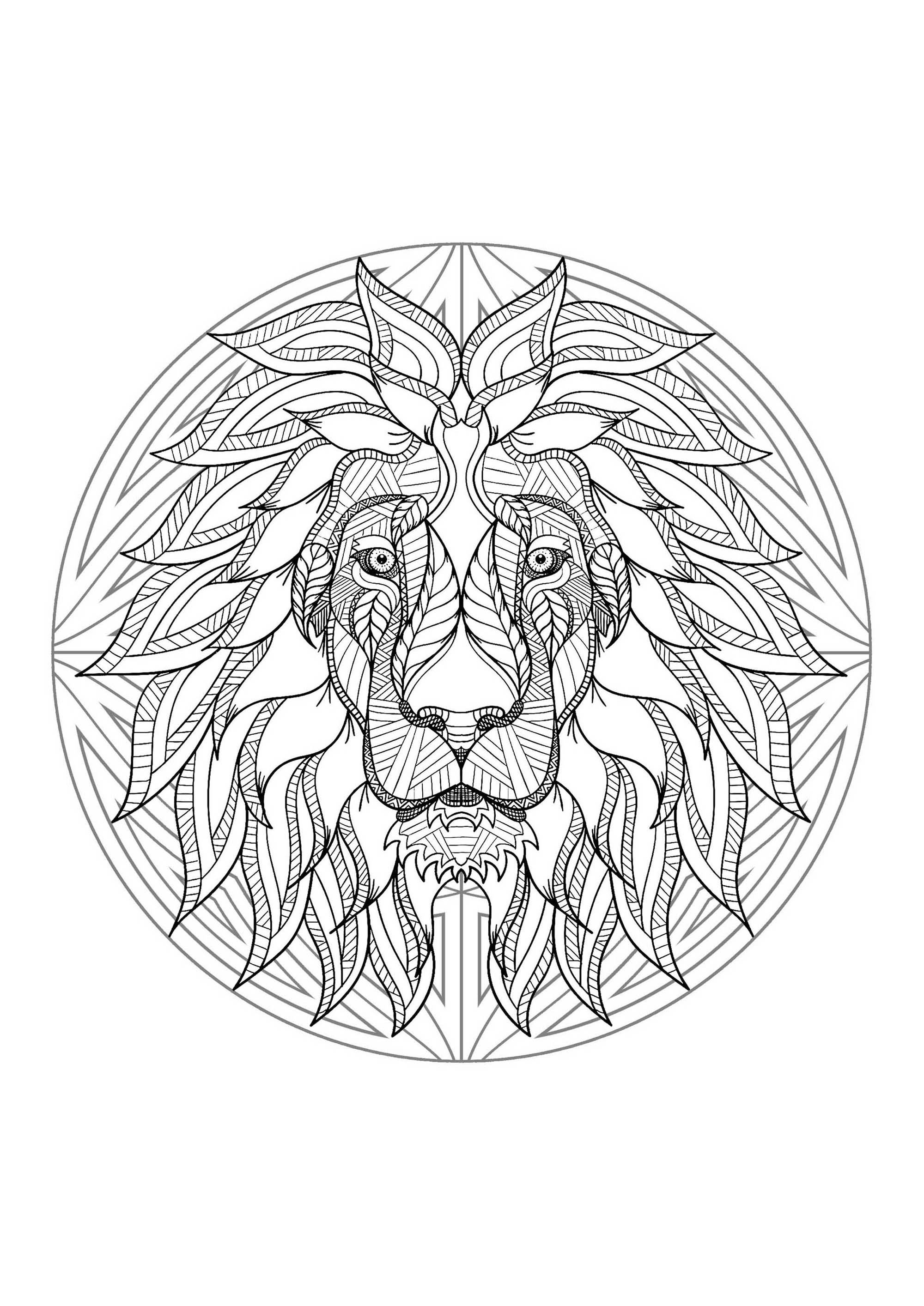 Lion head in a difficult Mandala. A Mandala coloring page with a lot of details, perfect if you like complex coloring pages, and if you like to express your creativity.
