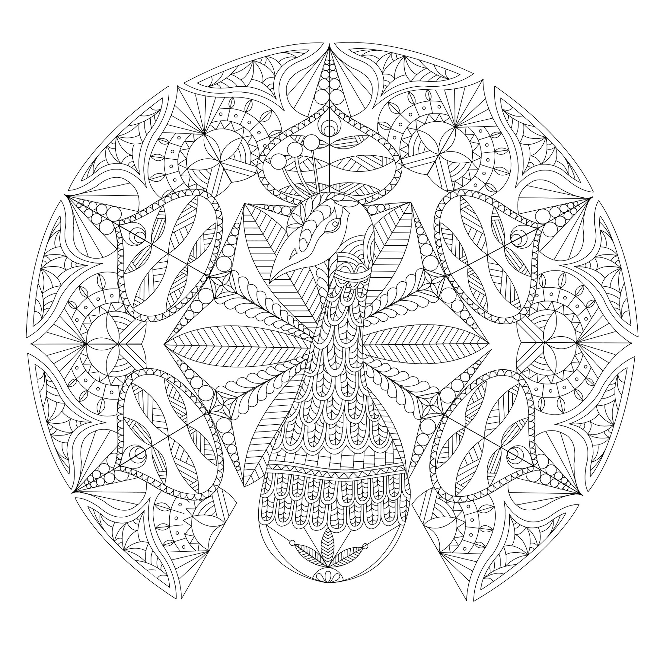Many coloring patterns for this mandala whose main subject is a majestic peacock