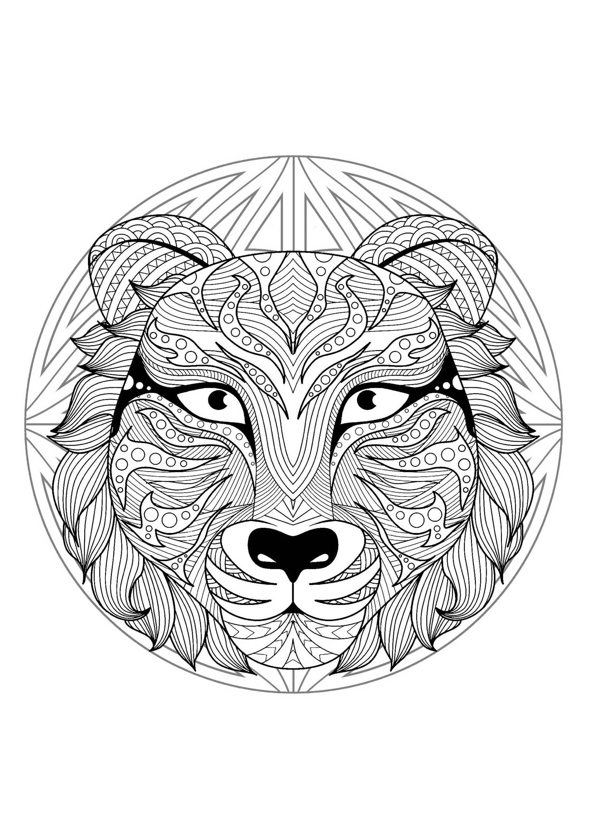 Tiger head in a difficult Mandala. A Mandala quite difficult to color, perfect if you like to color small areas, and if you like various details.