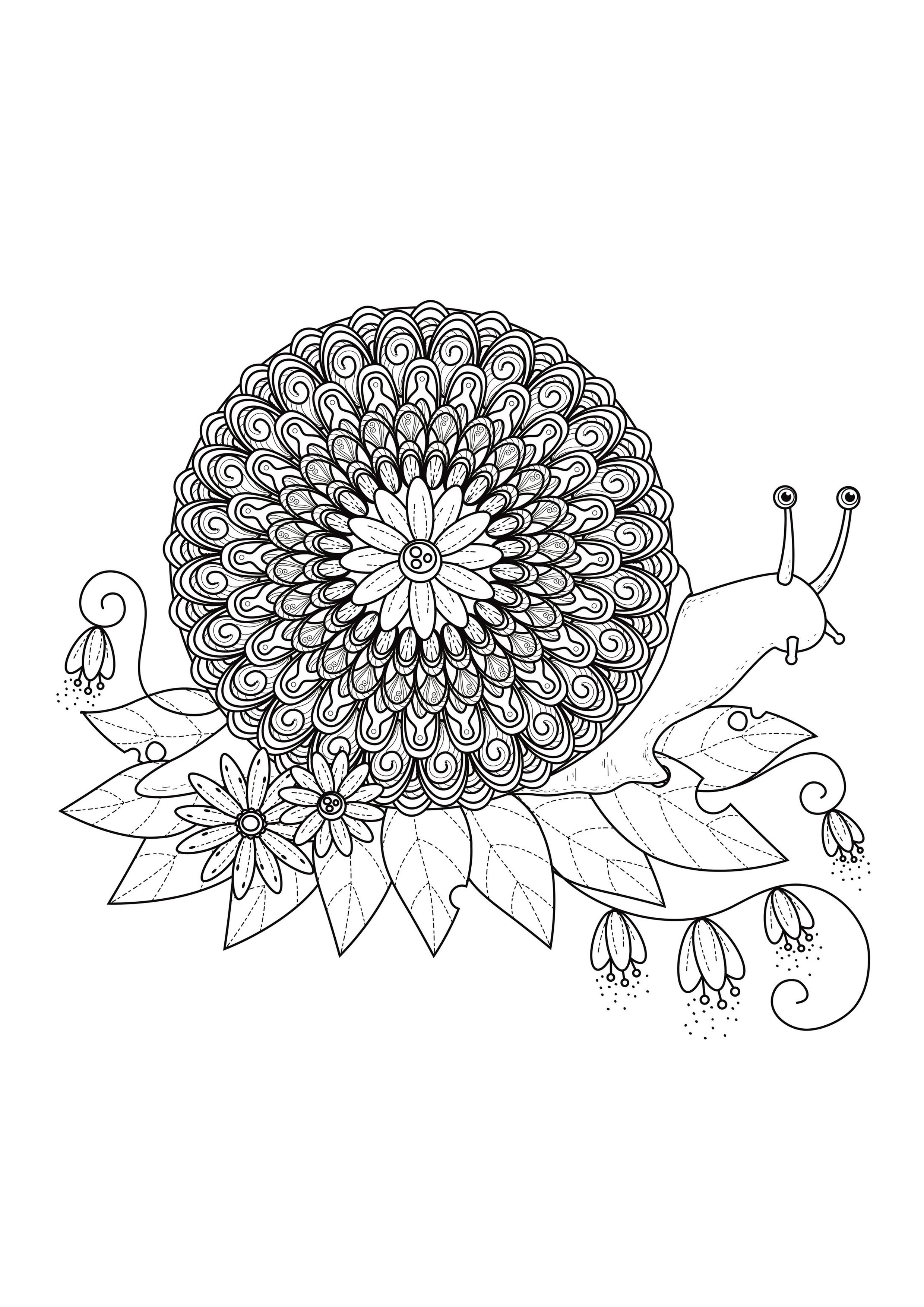 A Mandala quite difficult to color, instead of the shell of a snail, perfect if you like to color small areas, and if you like various details.