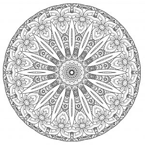 Cool Mandala with Flowers