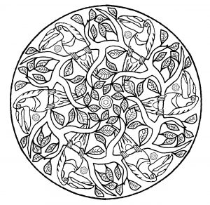 Mandala with tree branches & parrots