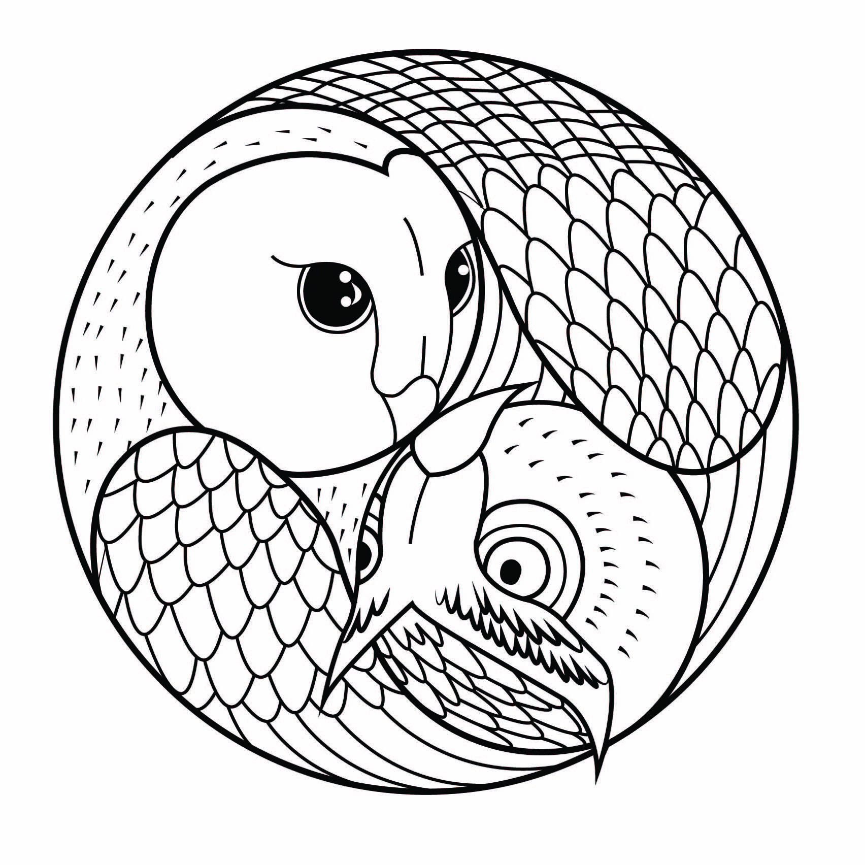 Mikroskop kompakt Fotografie como dibujar mandalas faciles reicht Daten