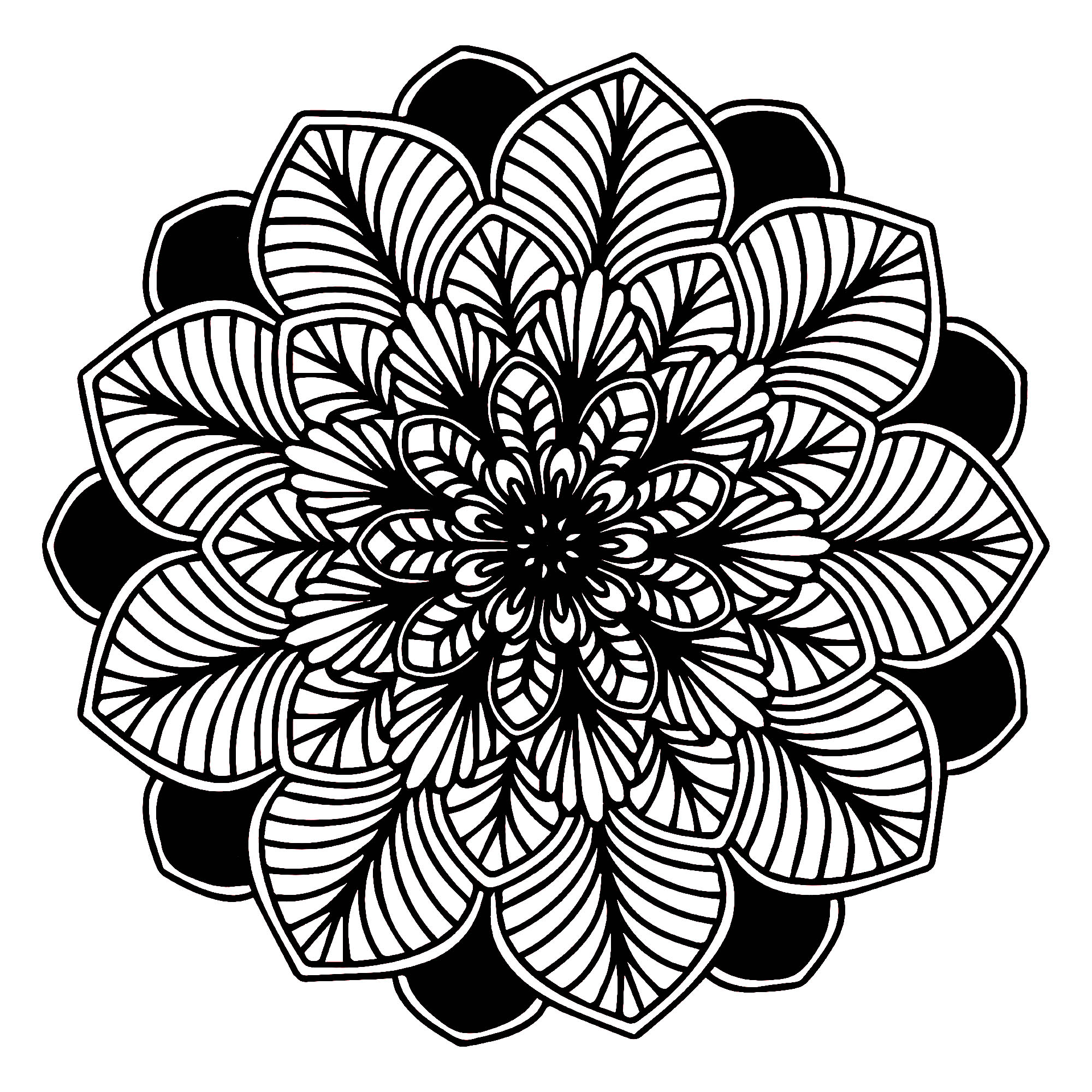 A luxuriant vegetation invades this magnificent Mandala with dark leaves. Give it life without delay. Do whatever it takes to get rid of any distractions that may interfere with your coloring.