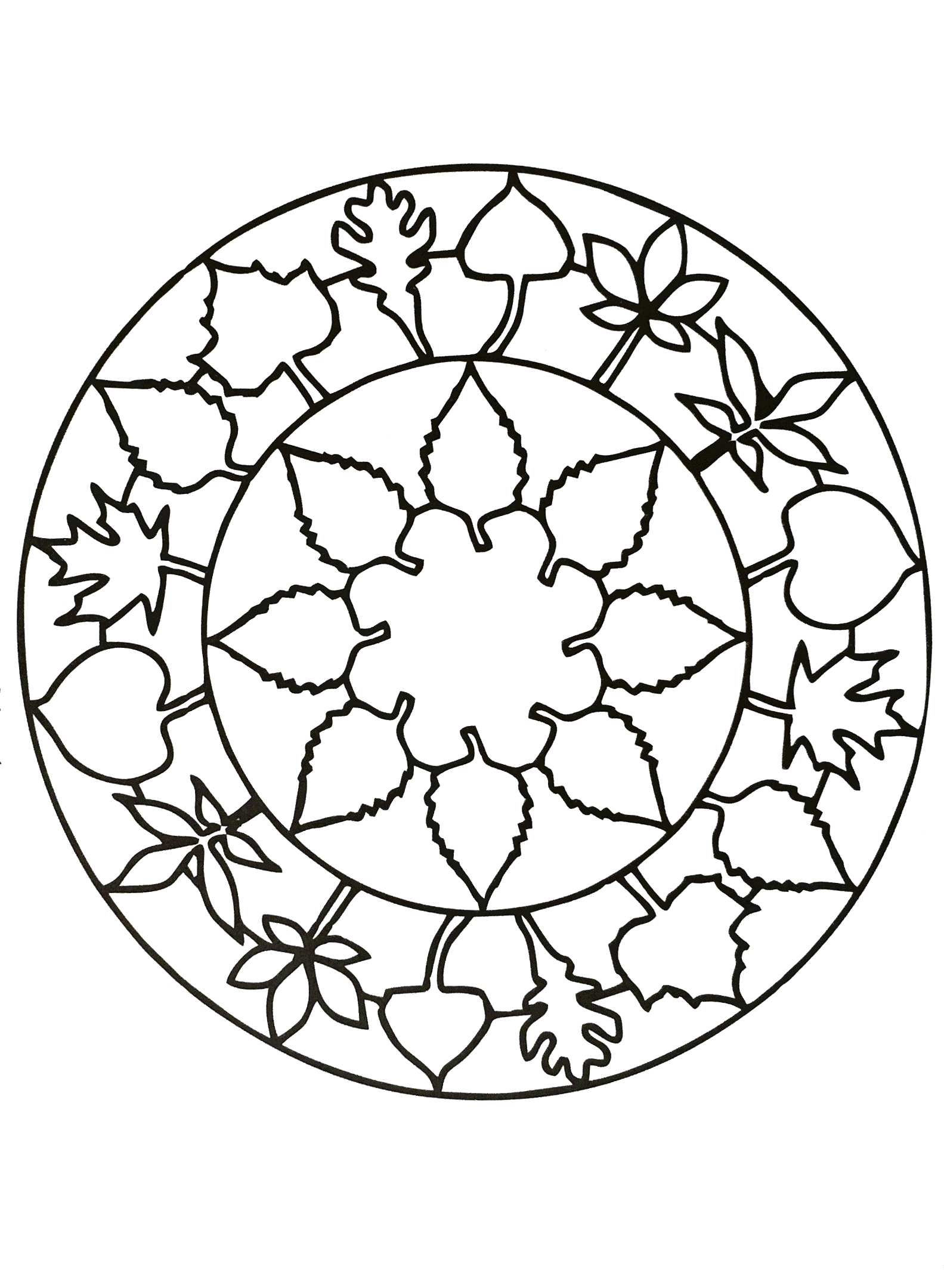Very simple Mandala drawing to print with big flowers and leaves. When the plant world fits perfectly into a Mandala drawing, that's what it gives. You can print it for free ! So enjoy ! It can sometimes be even more relaxing when coloring and passively listening to music : don't hesitate to do it !