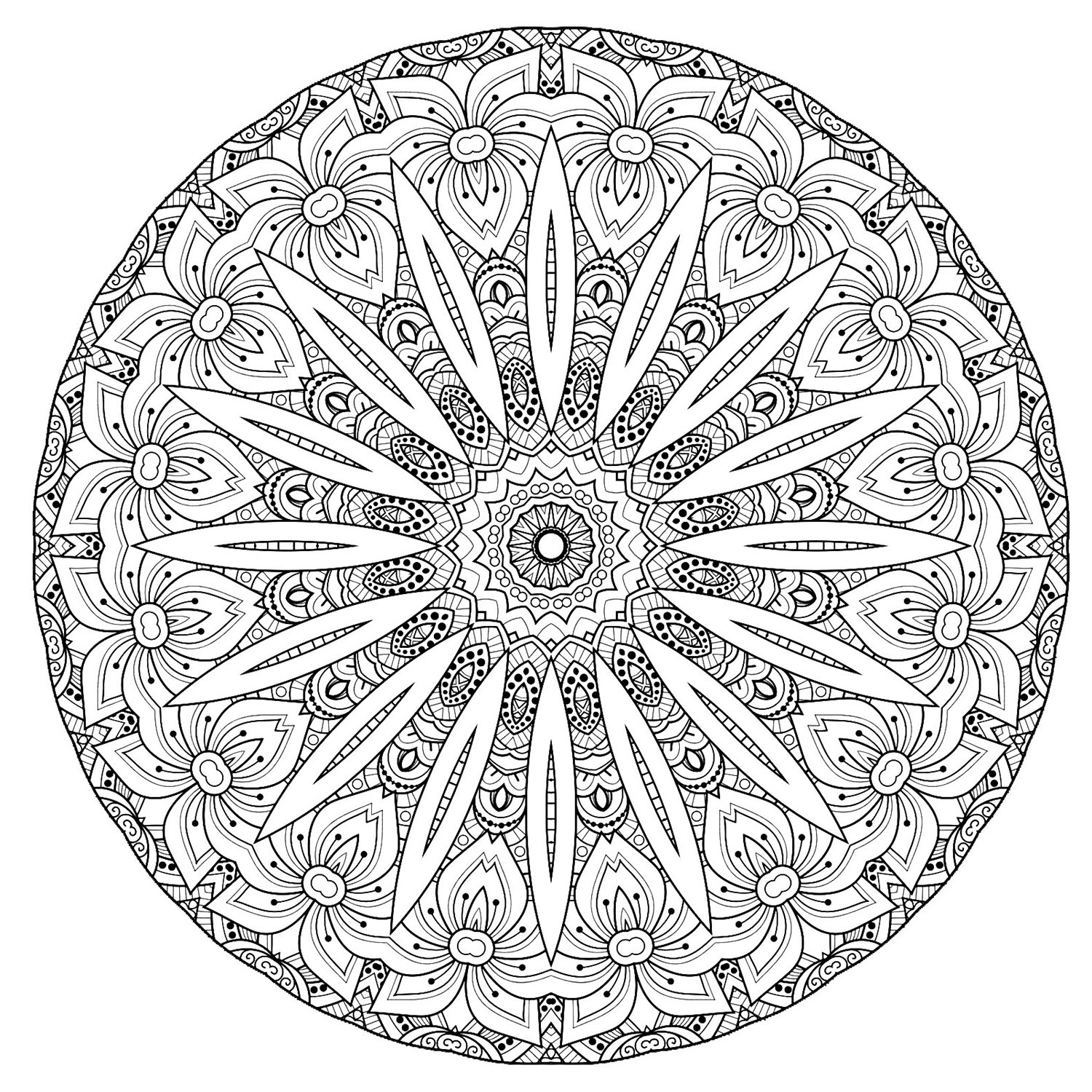 A luxuriant vegetation invades this giant Mandala with complex patterns. Give it life without delay. Do whatever it takes to get rid of any distractions that may interfere with your coloring.