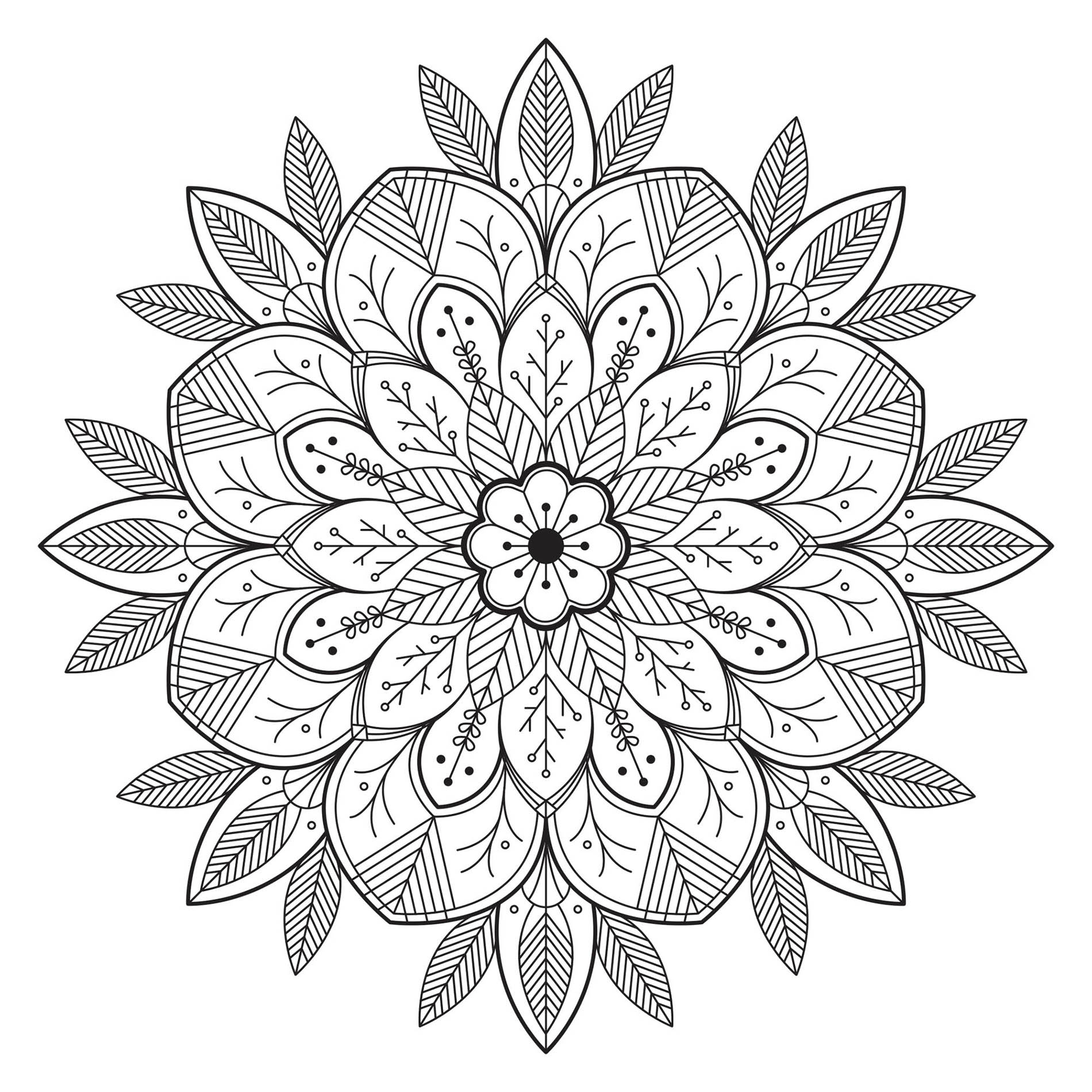 Leaves & Flowers - Mandalas with Flowers & vegetation - 100% Mandalas