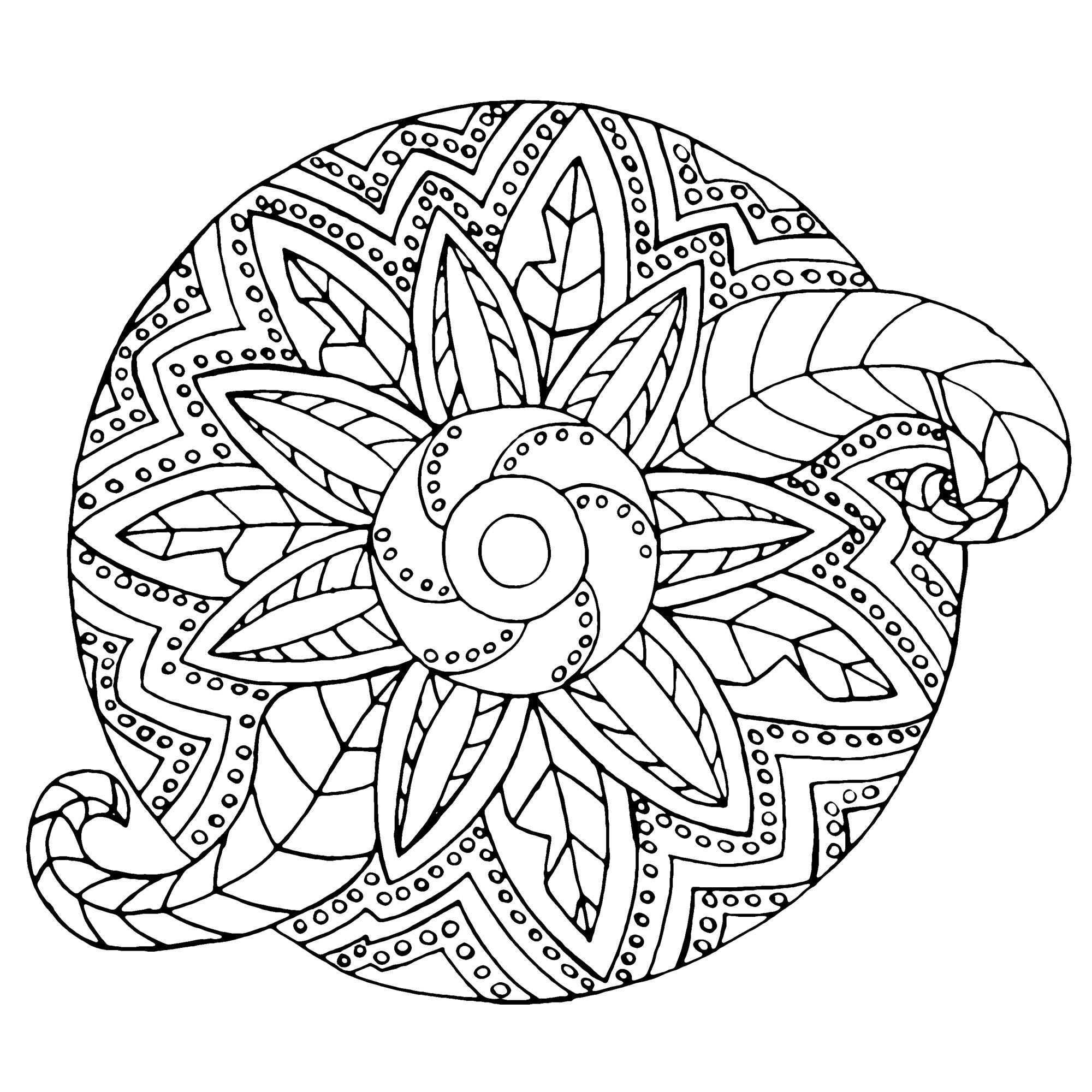 Mandala with both metallic and vegetal shapes. When the plant world fits perfectly into a Mandala drawing, that's what it gives. You can print it for free ! So enjoy !