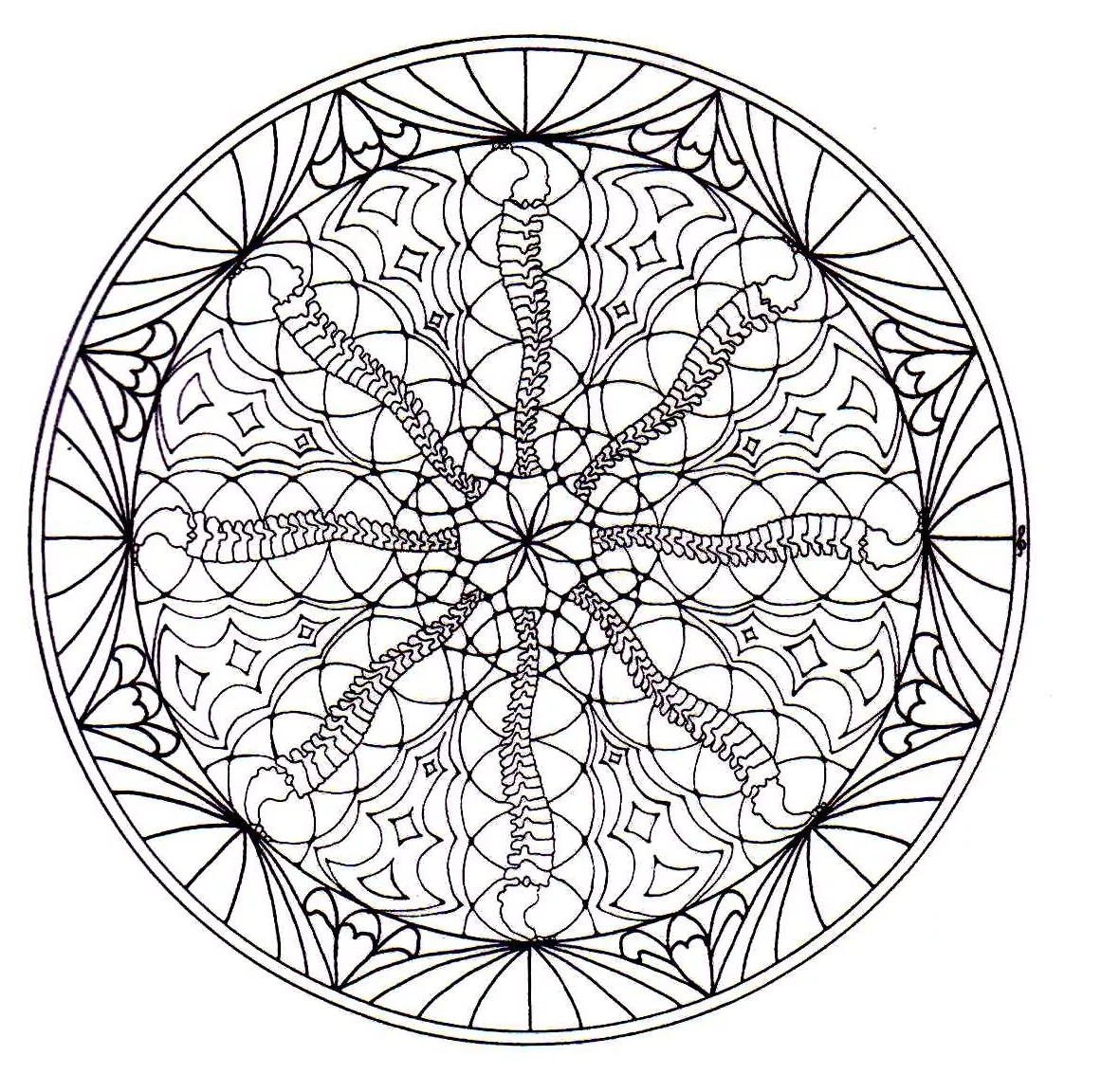 Vegetation in a Mandala (Mandalas with Flowers & vegetation)