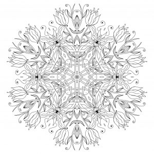 Elegant drawing forming a Mandala