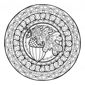 Mandala with an acorn in the middle