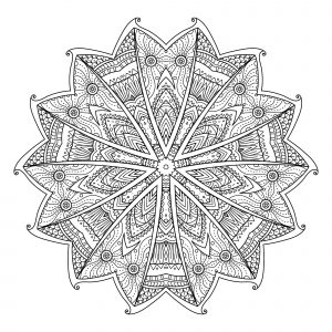 Abstract leaves Mandala