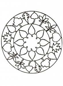 Simple Mandala with cute leaves