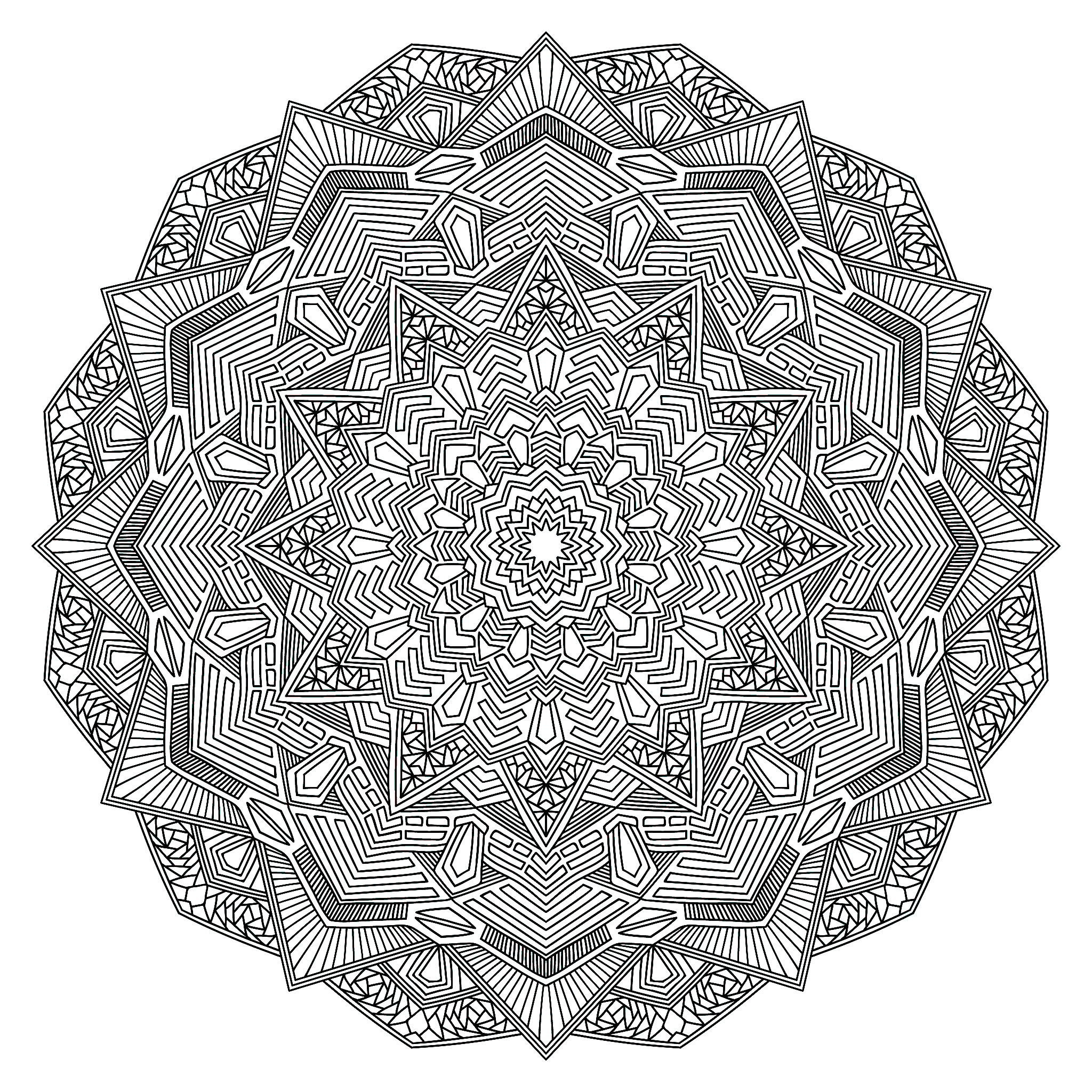 Express your soul, your passion, and the result will certainly be perfect. Let yourself be guided by your instinct to color this incredible Mandala !