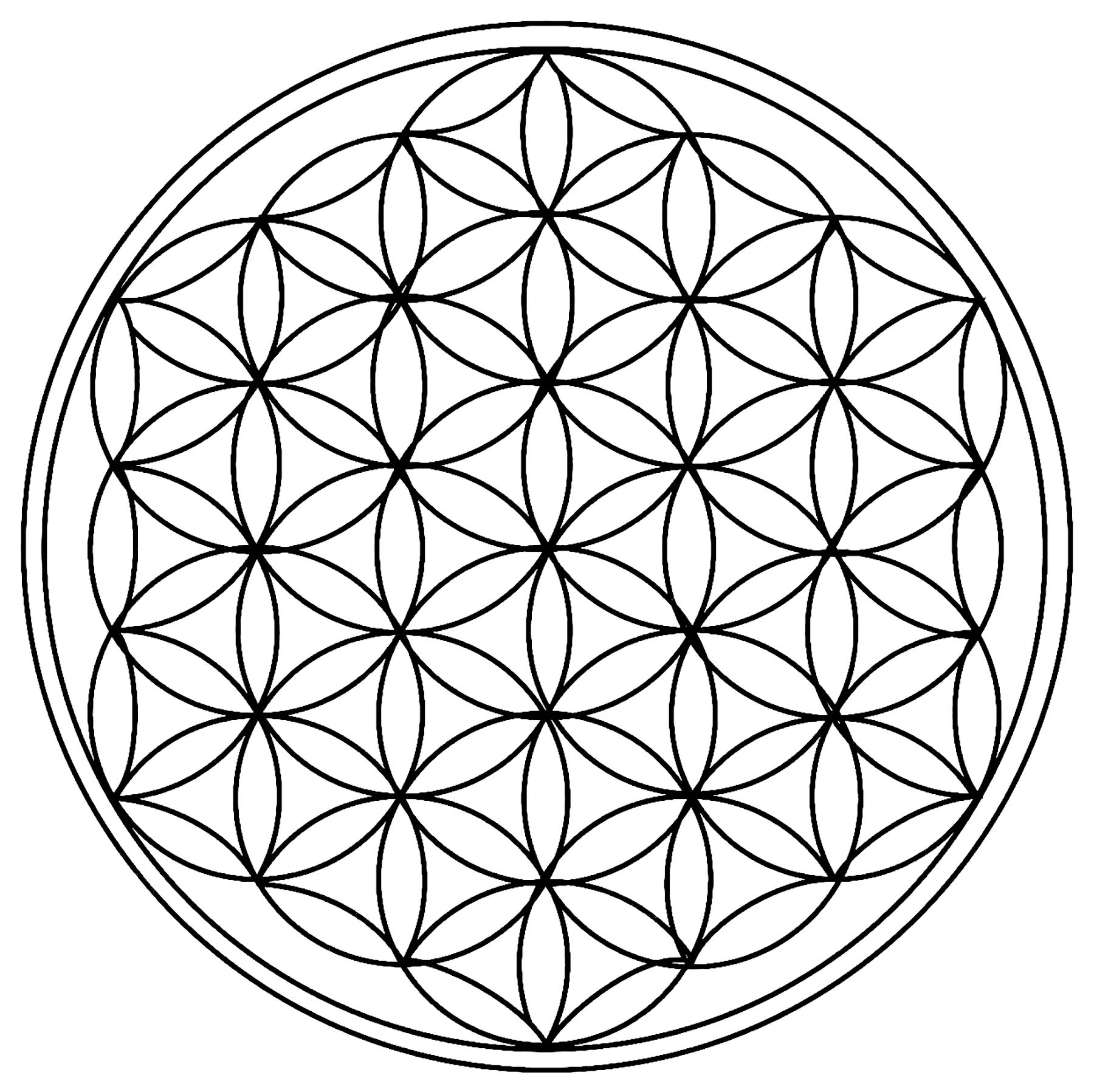 Only circles, forming a beautiful Mandala