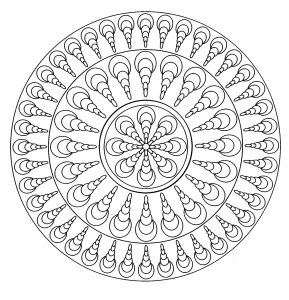 Mandala With Sweet Seashells