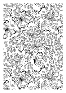 Coloring pages butterflies